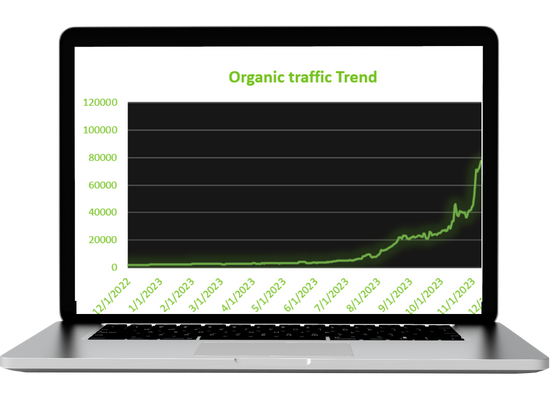 SaaS SEO Services<br />
